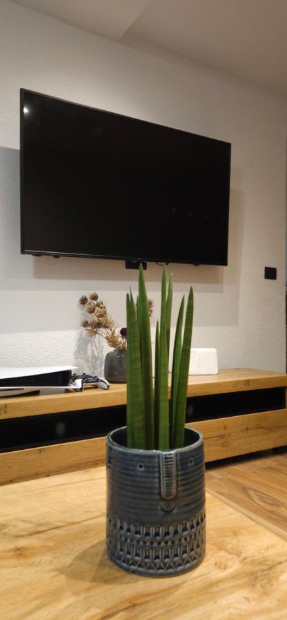 Betty Apartments Borik - Whole Ground Floor Ровин Екстериор снимка